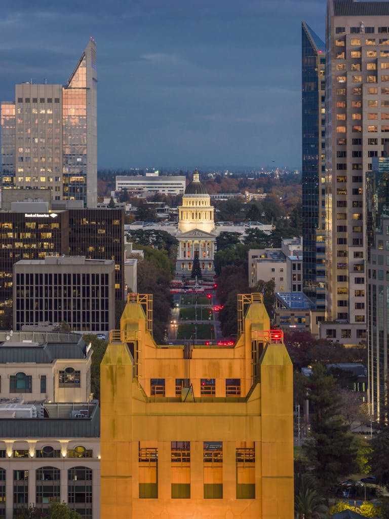 Political Risk Analyst