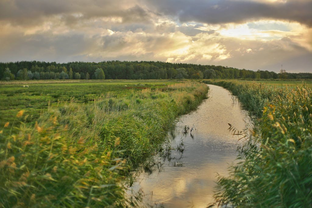 streameast.dg landscape with a stream, green fields, and trees under a dramatic sunset sky.