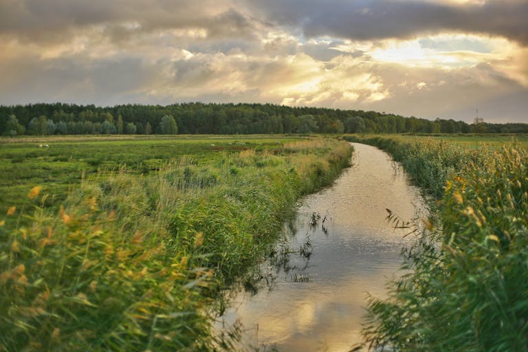 StreameastGG landscape with a stream, green fields, and trees under a dramatic sunset sky.