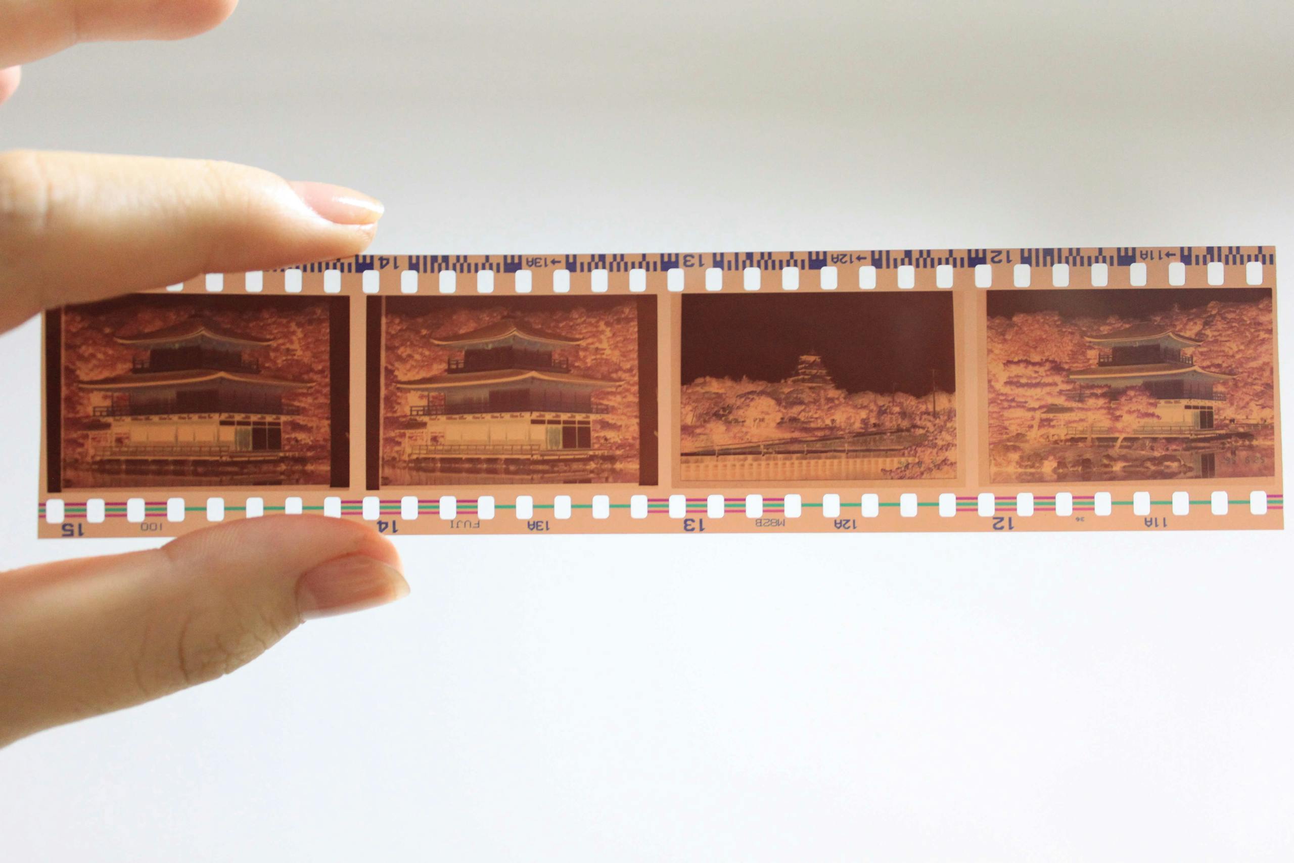 Best Paint for Cedar photo of a film negative strip held by a person's hand, showcasing traditional photography.