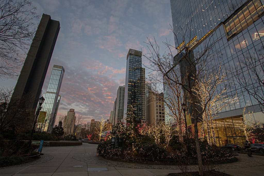 The Rise of Betechit.com Free stock photo of beautiful, best restaurant nyc, bgtlv