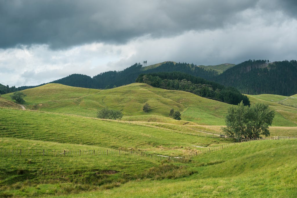 IPS Latest rolling hills and forests under cloudy skies in Hunua, New Zealand.