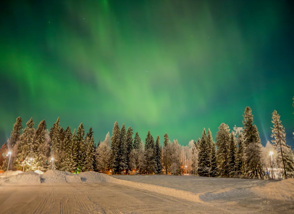 Stunning aurora borealis over snowy Aurora QR CodeAurora QR Code forest in Boden, Sweden at night