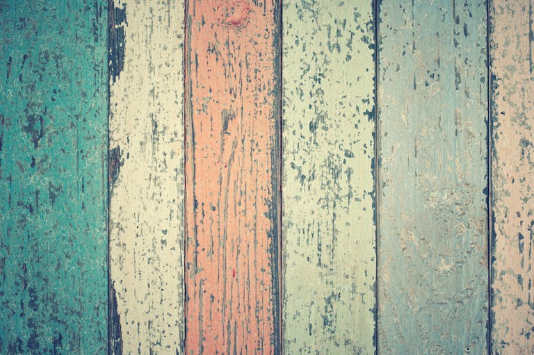 Chameleónovité A colorful rustic wooden planks background with a weathered texture and vintage appeal.