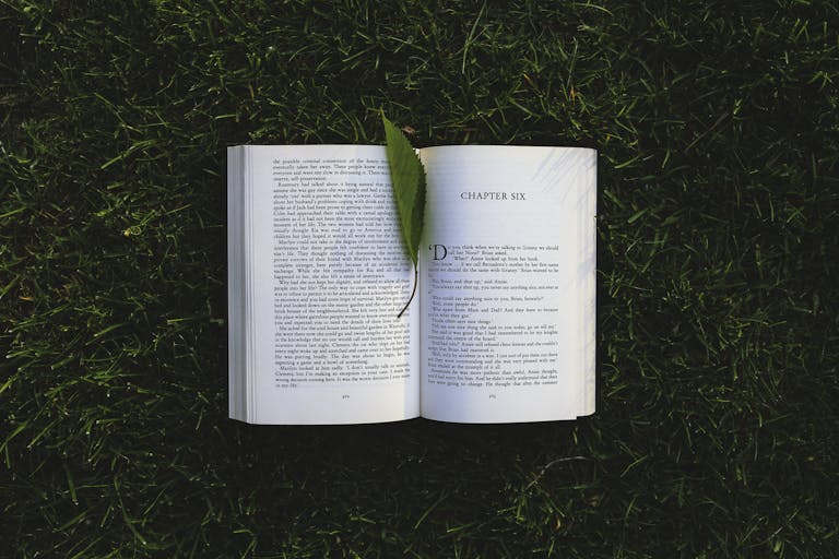 mistyinfo.com Meilaier: A Complete Guide to Understanding Its Meaning, Uses, and Growing Popularity An open book lies on the grassy field with a leaf, evoking relaxation and summer reading vibes.