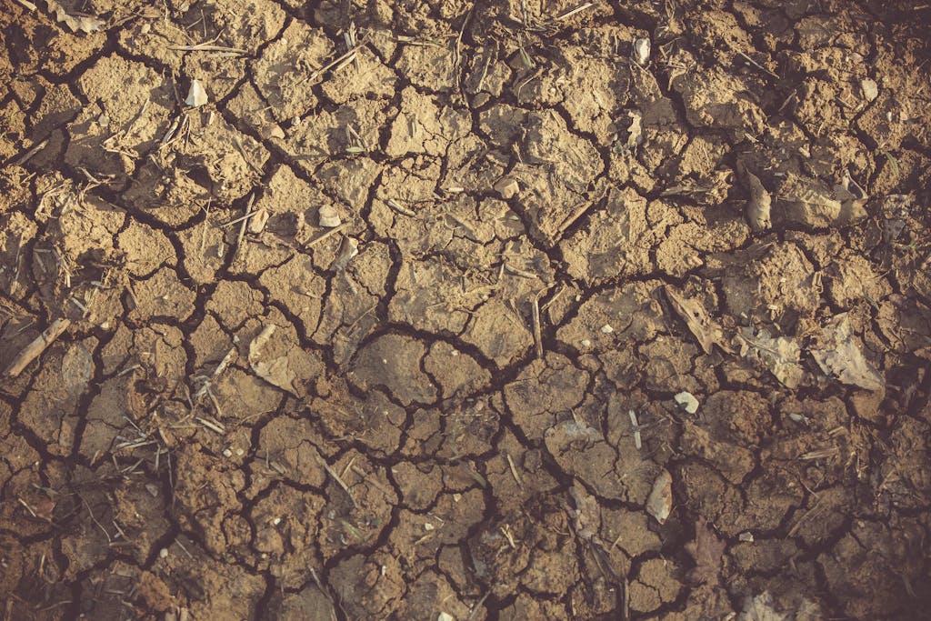 Viltnemnda Close-up of cracked, arid soil showing detailed textures and patterns, indicative of drought conditions.