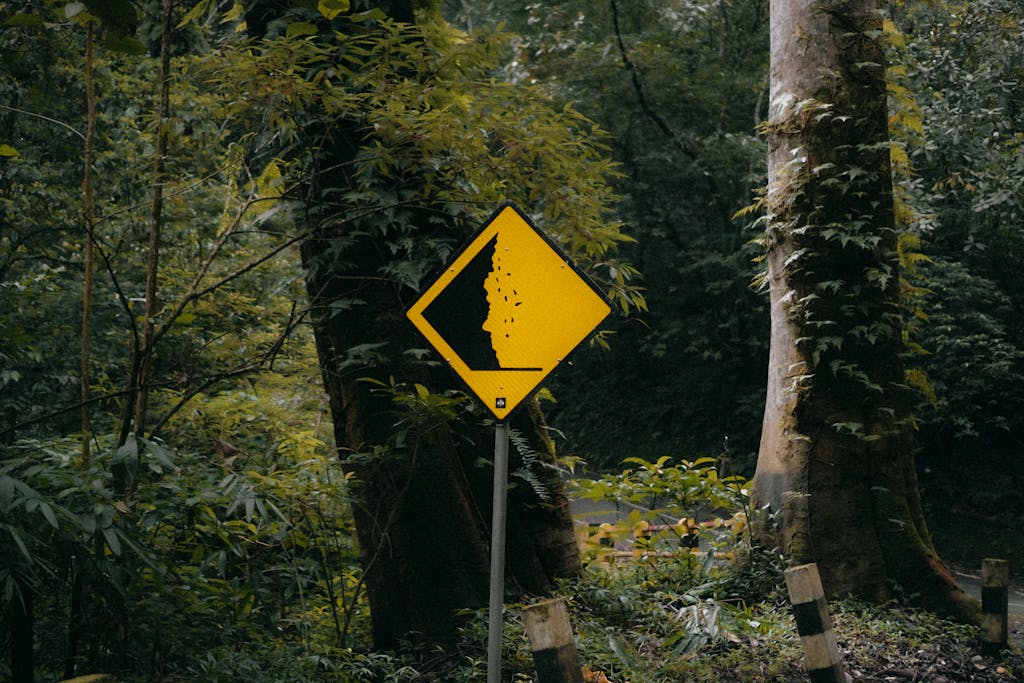 Acamento Landslide warning sign in lush green forest, Mojokerto, East Java.