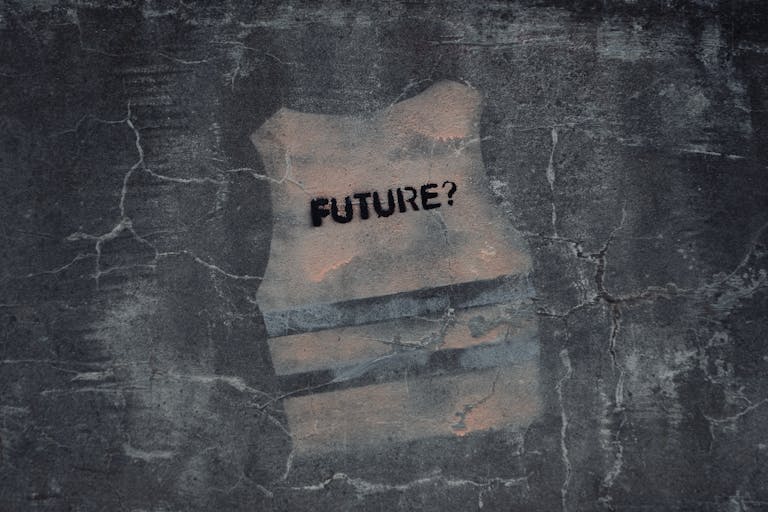 Binuscx Street art in Venice with text 'FUTURE?' on cracked concrete wall.