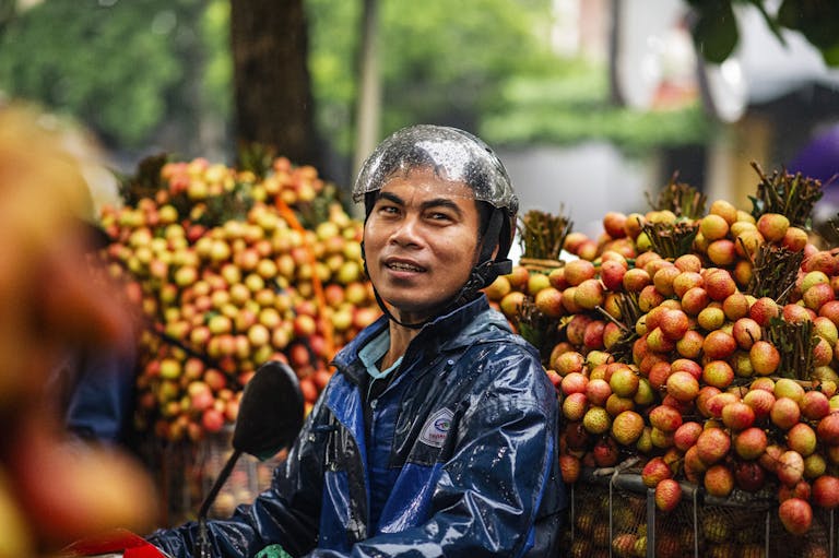 BAC Stock A vibrant scene of a lychee vendor in Bac Giang, Vietnam during harvest season.